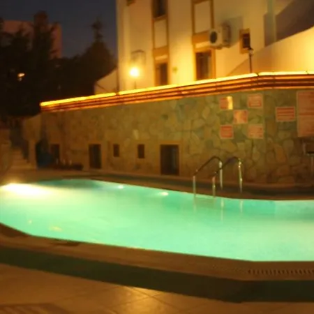 Lemon Tree ビテツ