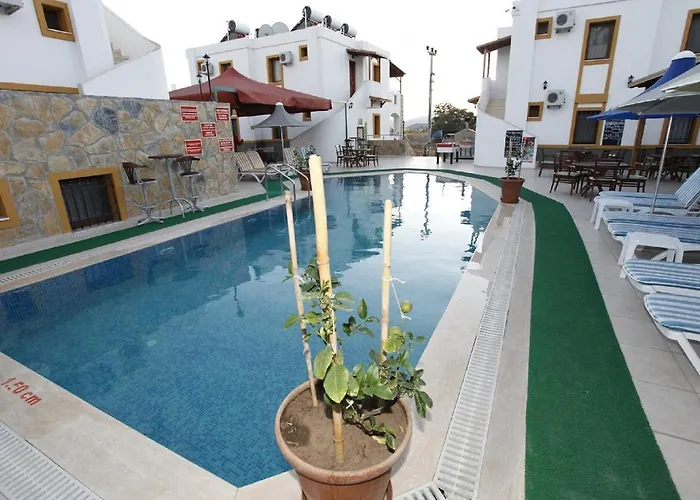 Lemon Tree 比特兹