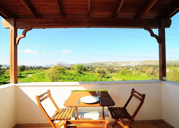 Lemon Tree 3* 比特兹