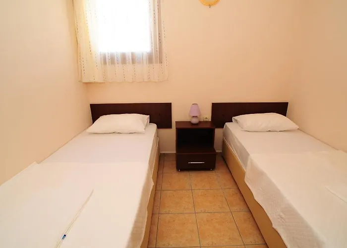 Lemon Tree 比特兹