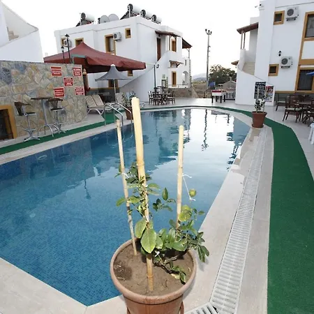 Lemon Tree بيتيس