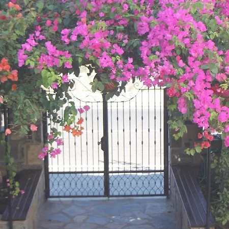 Aparthotel Lemon Tree Bitez