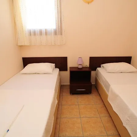 Lemon Tree 比特兹