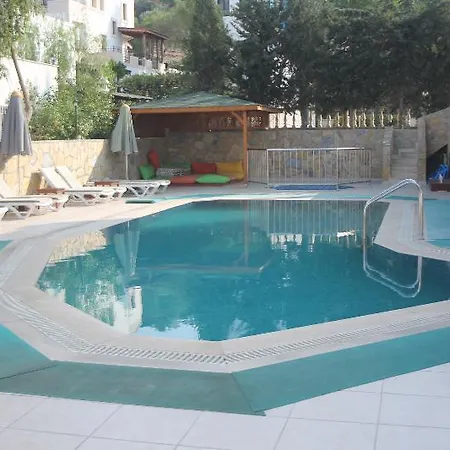 Aparthotel Lemon Tree 2*