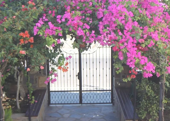 Lejlighedshotel Lemon Tree Bitez